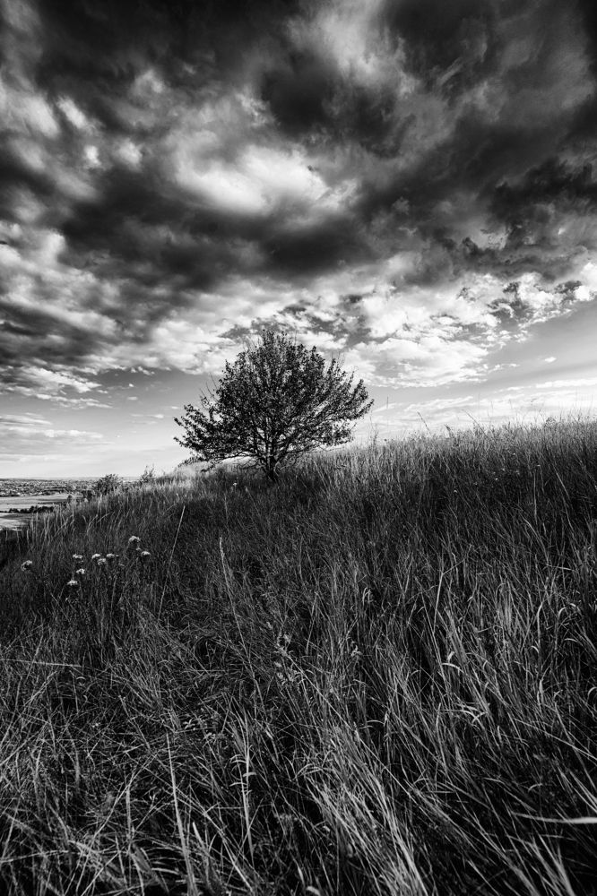 Фотография автора Ильченко Оксана