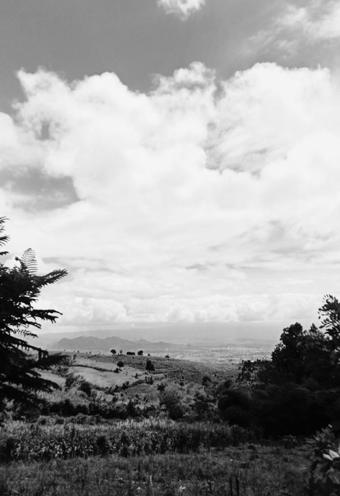 Hill view