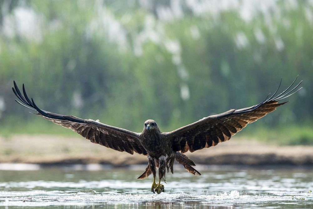 Photograph by Sharad Mansharamani