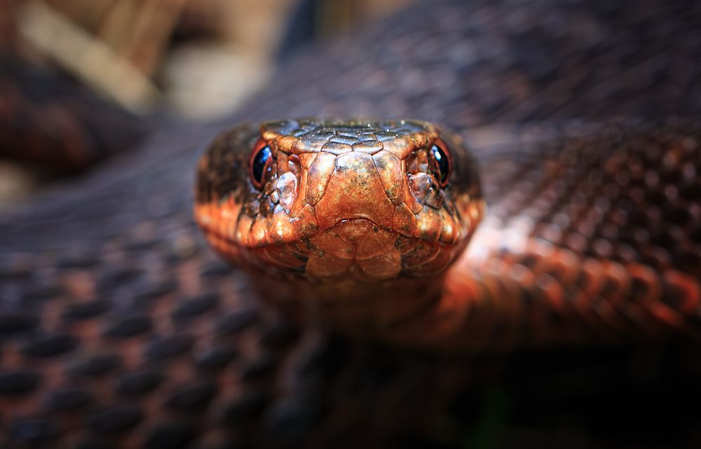 Photograph by Борис Новиков