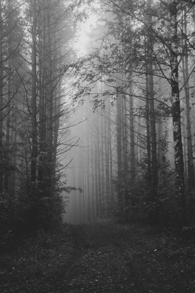 Фотография автора Злобин Сергей