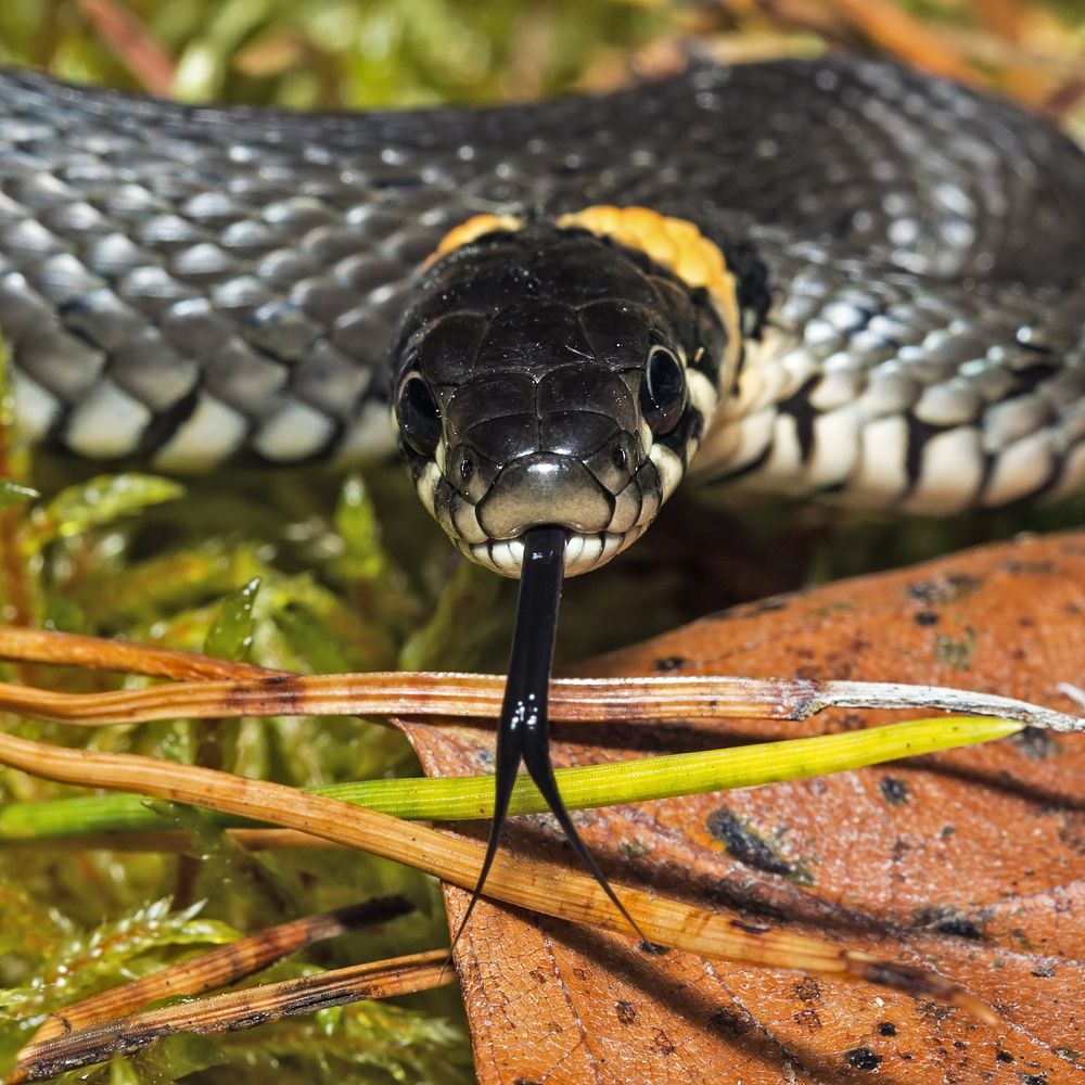 Photograph by Борис Новиков