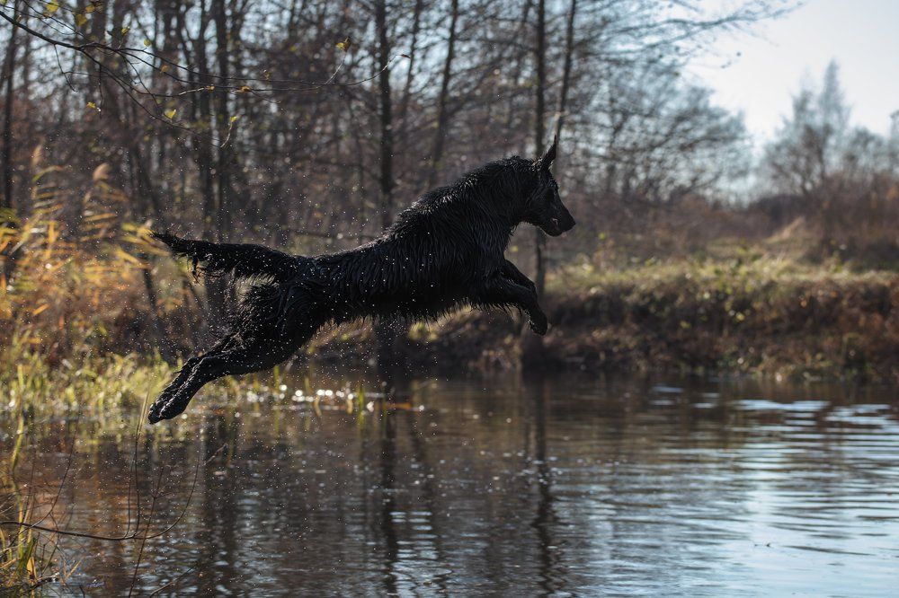 Фотография автора Мария Семенова