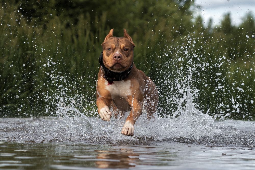 Photograph by Наталья Носова (Кучеренко)