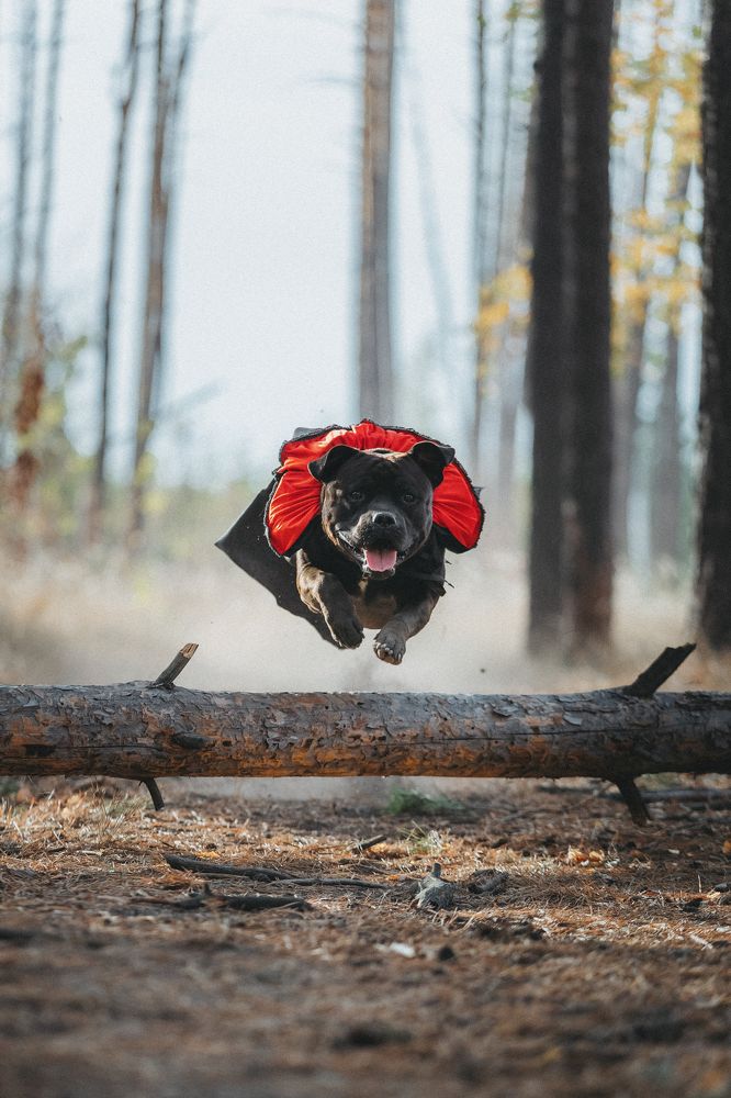 Фотография автора Мария Семенова