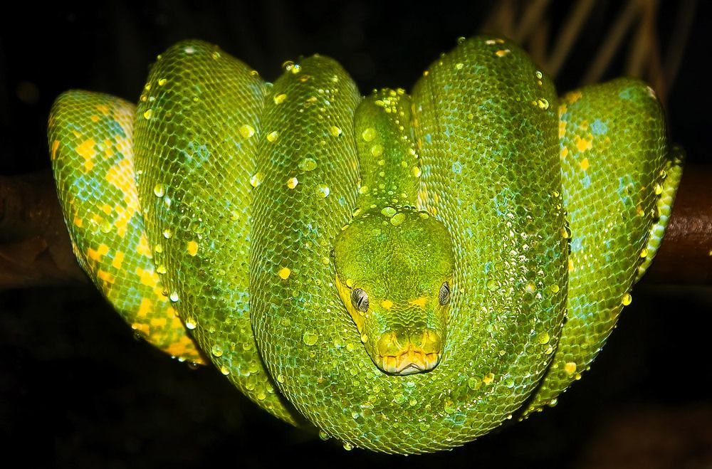 Photograph by Борис Новиков