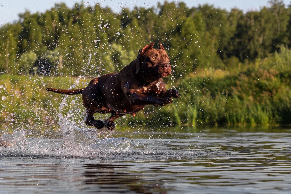 Photograph by Наталья Носова (Кучеренко)