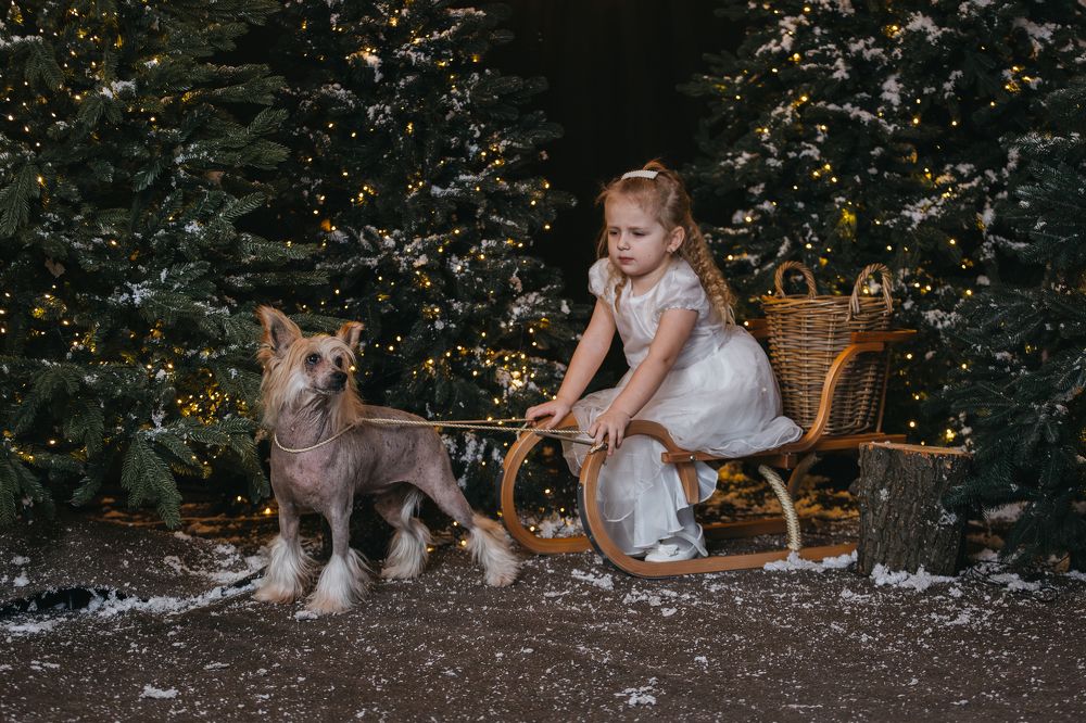 Фотография автора Мария Семенова