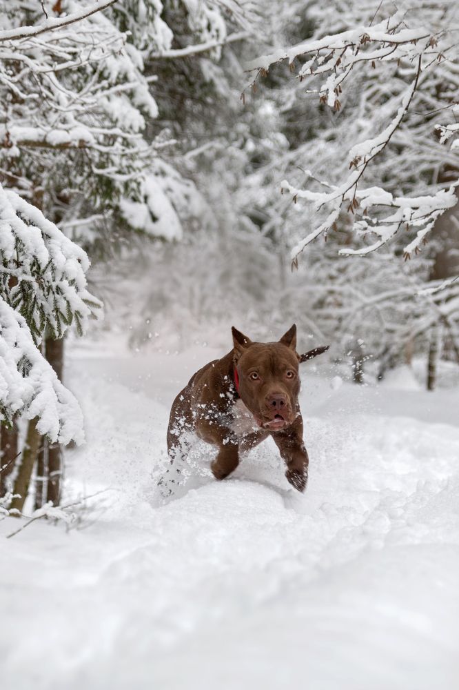 Photograph by Наталья Носова (Кучеренко)