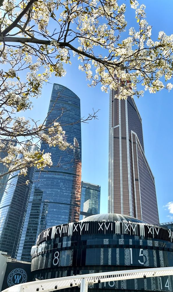 Photograph by Мария Петровцева