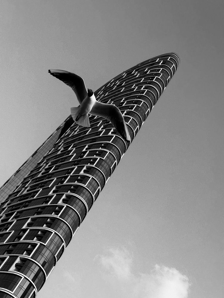 Photograph by Анастасия Конина