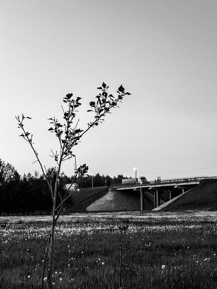 Photograph by Анастасия Конина