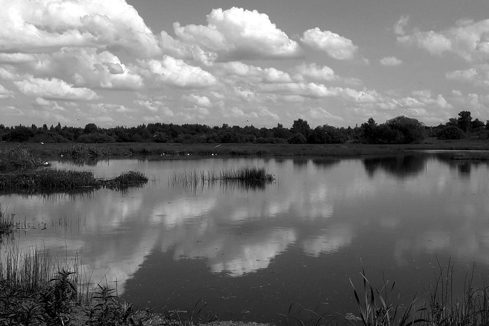 Photograph by Ольга Березовская