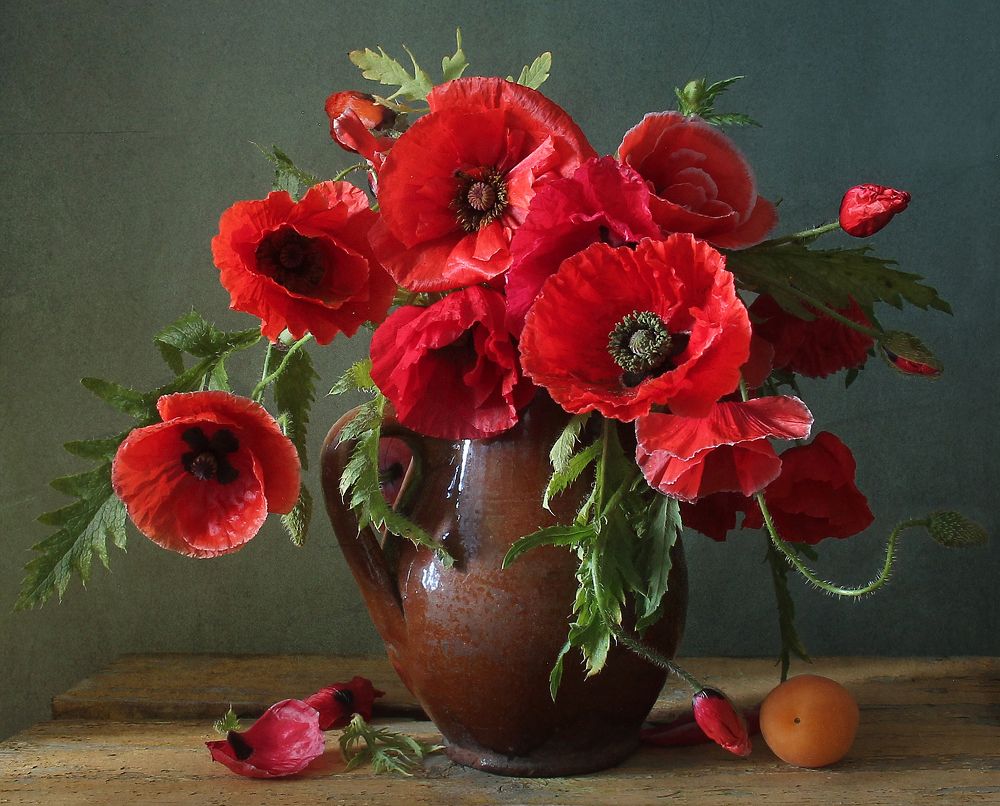 Нежность бархатных крыльев