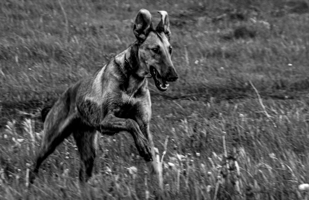 Photograph by Анастасия Сидоренко