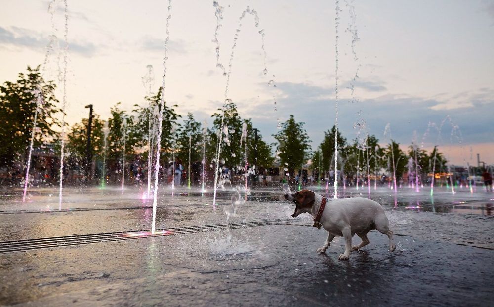 Photograph by Prometej