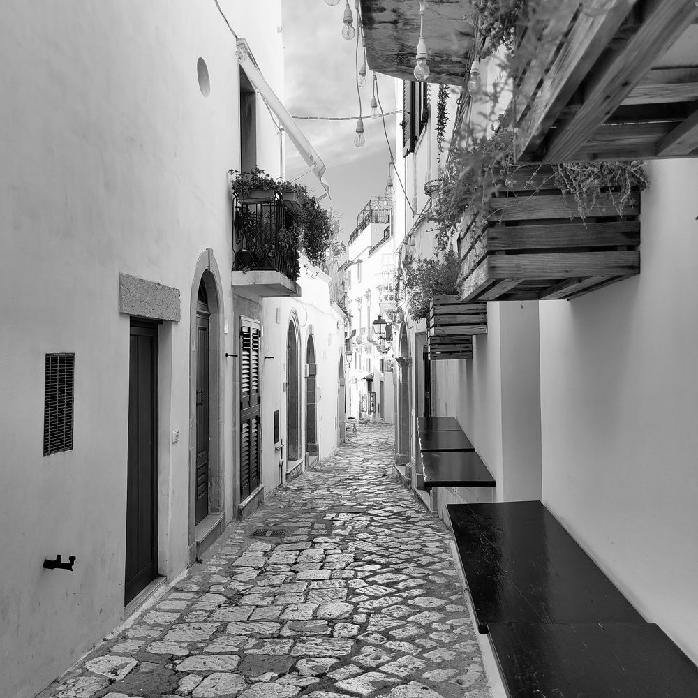 Photograph by Catherine Walter-Prêtre