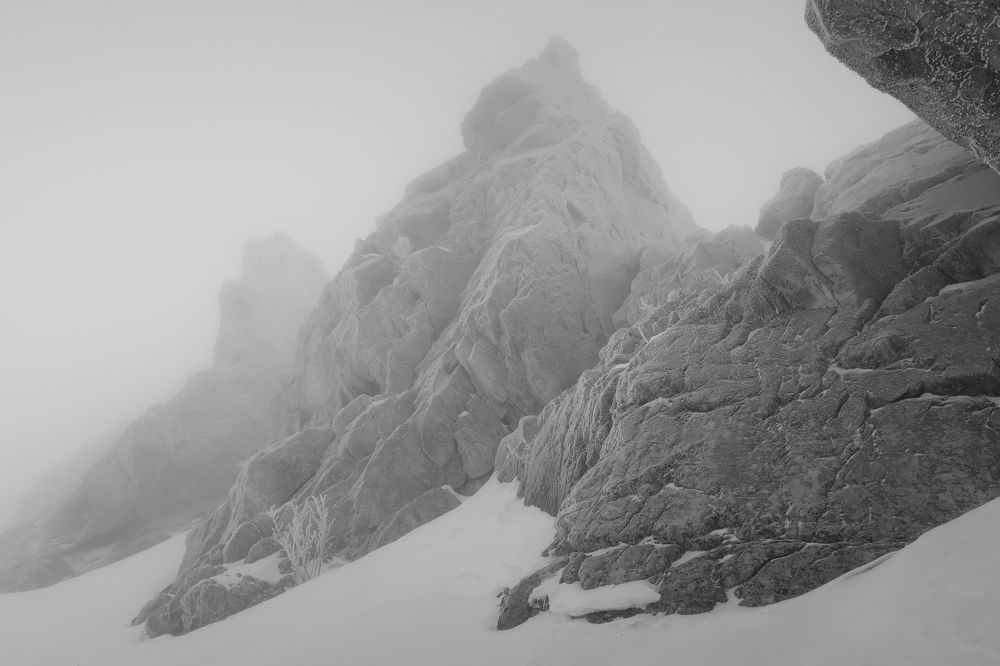 Photo #11596678