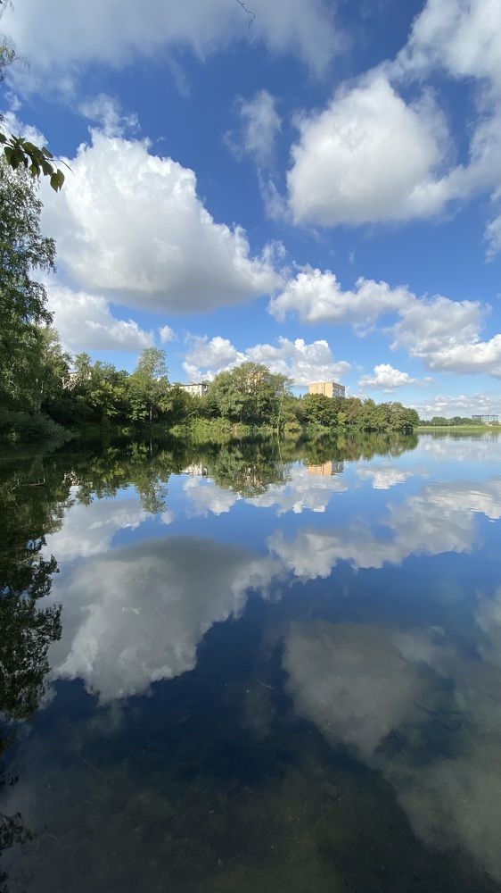 Photograph by Светлана Фесенко