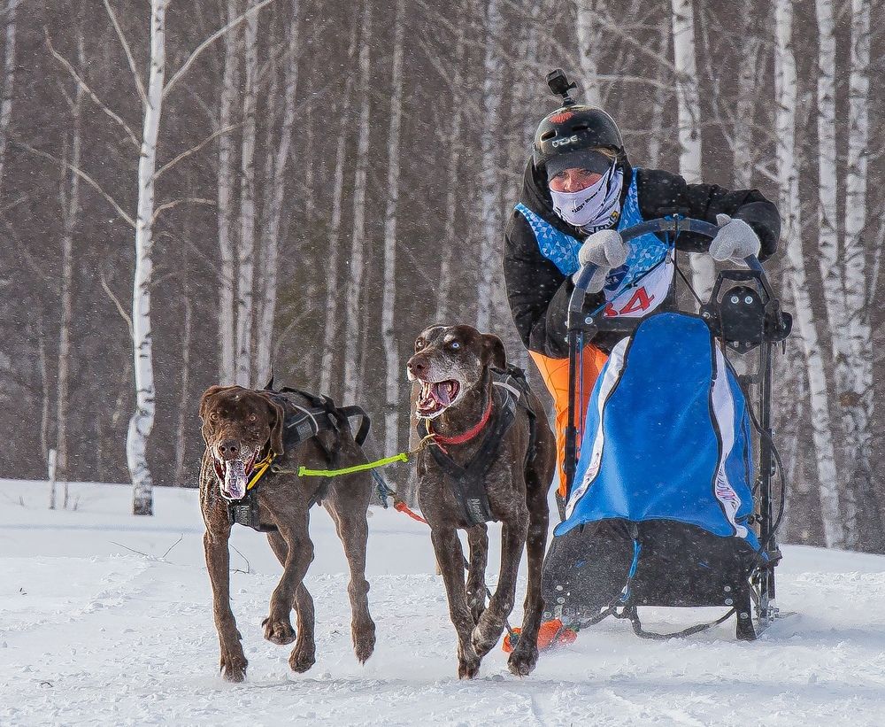 Photograph by Елена Павлова