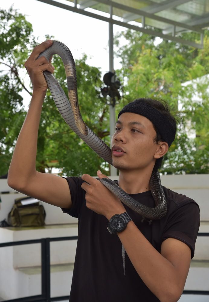 Photograph by Людмила Воропаева