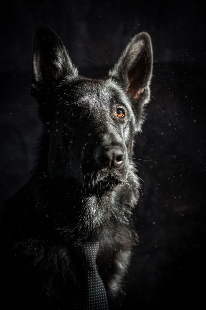 Photograph by Анна Иванова