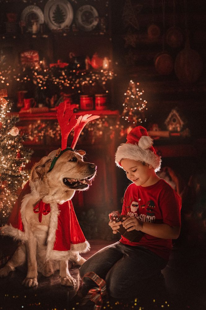 Photograph by Jelena