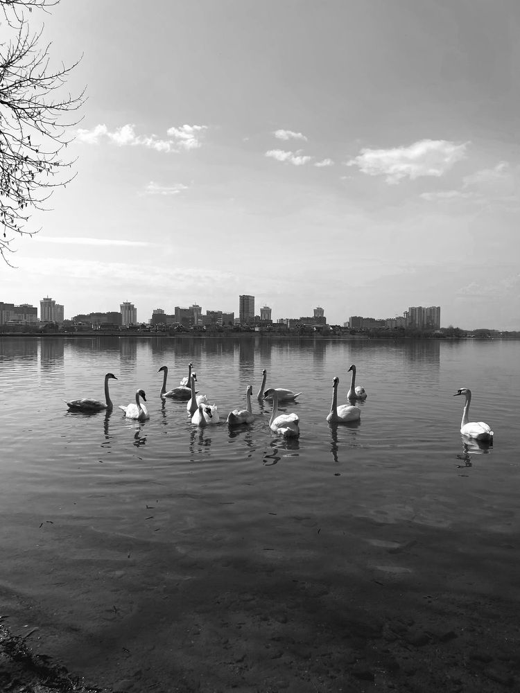 Photograph by Светлана Станевич