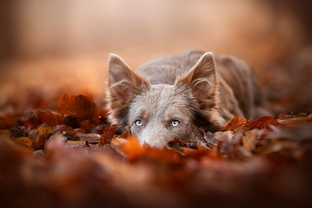 Photograph by Laura Quintanel