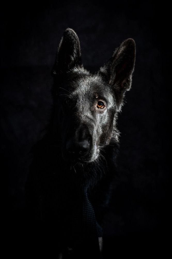 Photograph by Анна Иванова