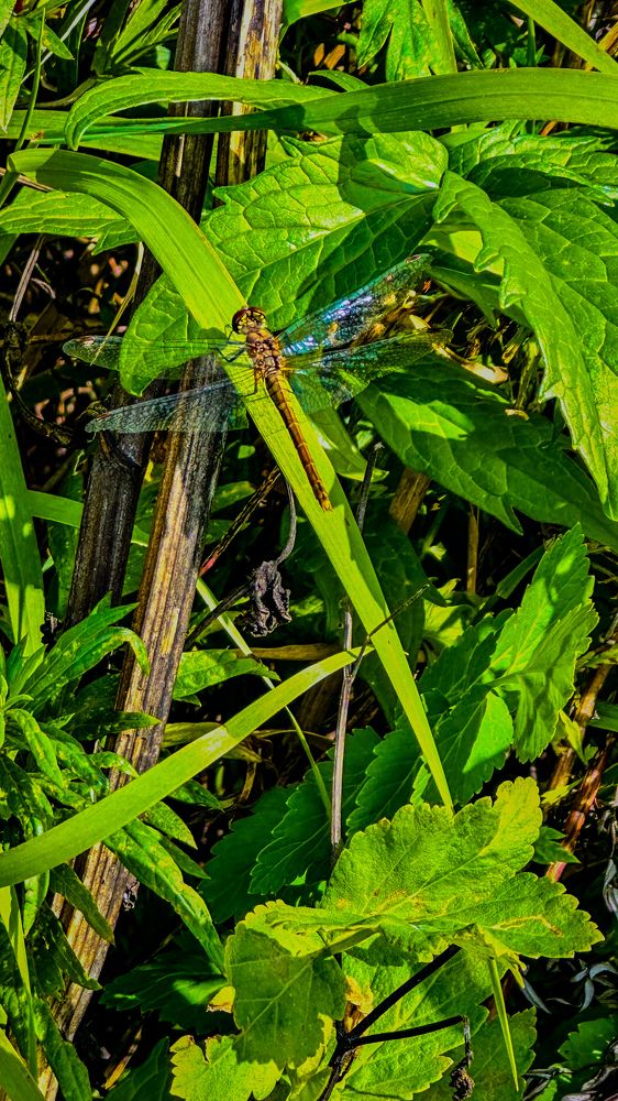 Photograph by Татьяна Галаева