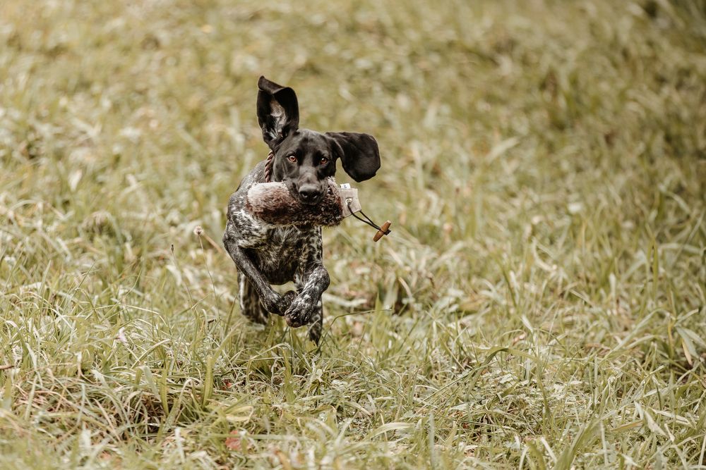 Фотография автора Fabienne Gassmann