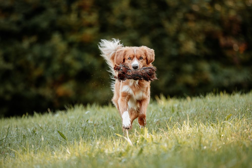 Фотография автора Fabienne Gassmann