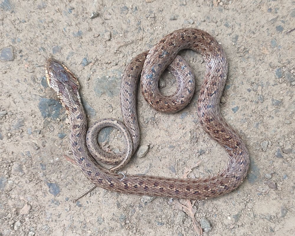 Photograph by Людмила Воропаева