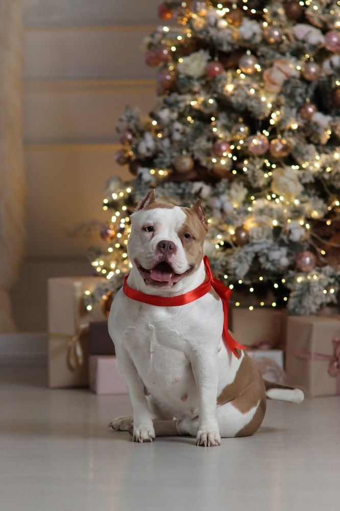 Photograph by Дарья Чистякова