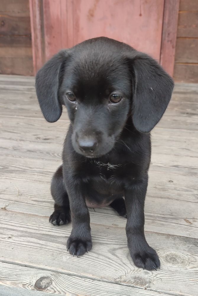 Photograph by Людмила Воропаева