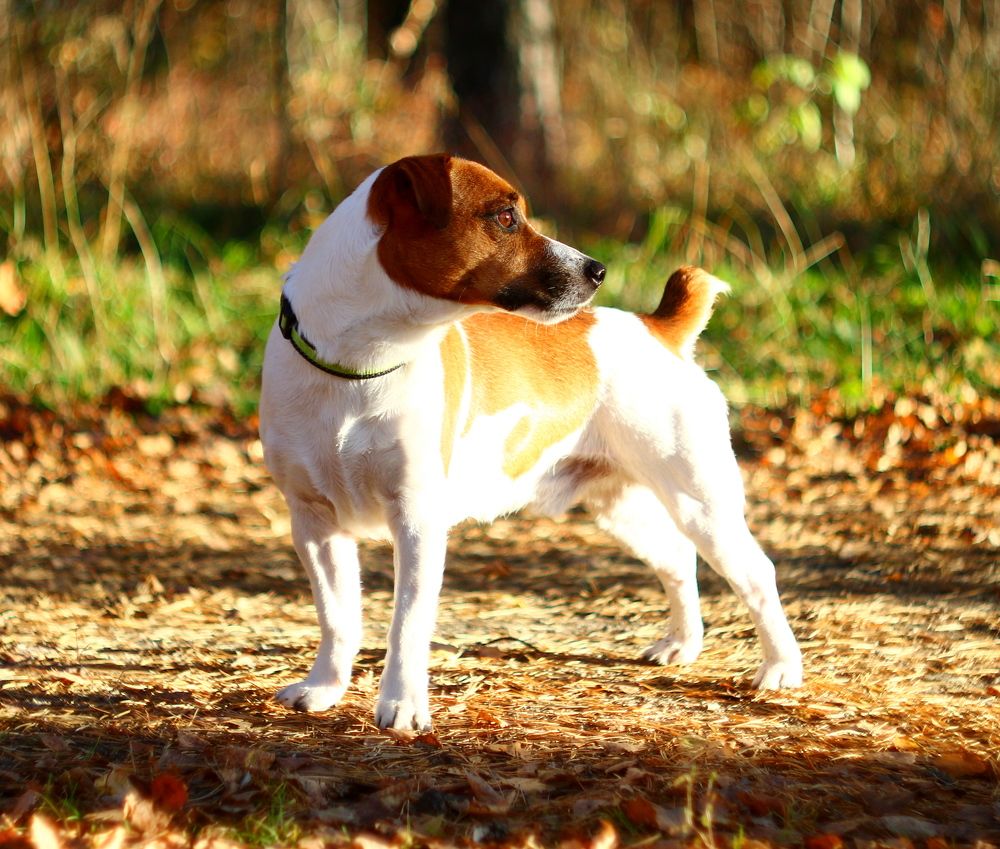 Photograph by Леонид Уральский