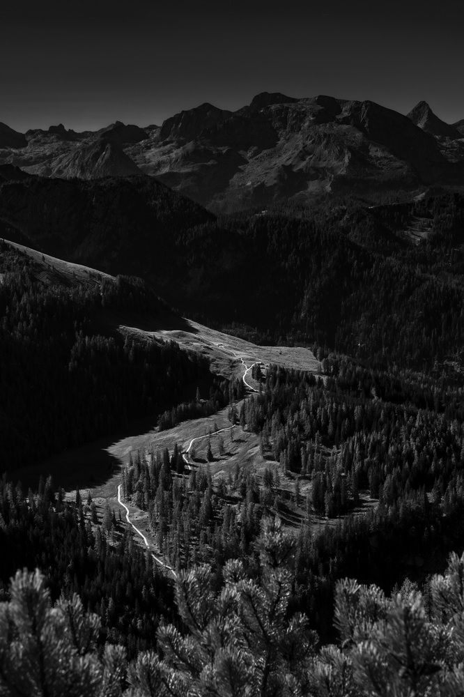 Photograph by Михаил Мамаев