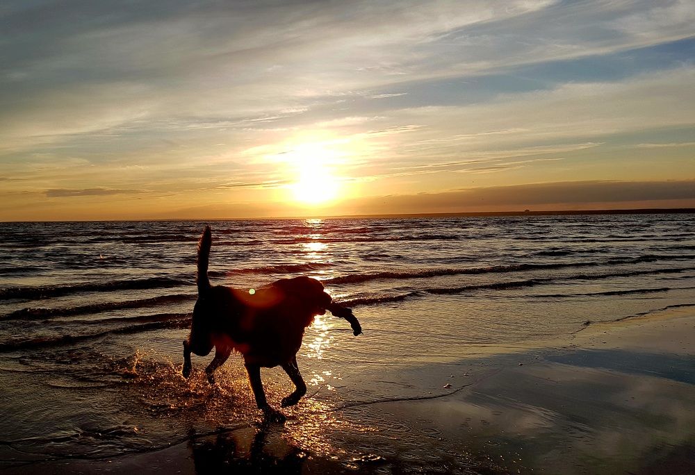 Photograph by Максим Иванов