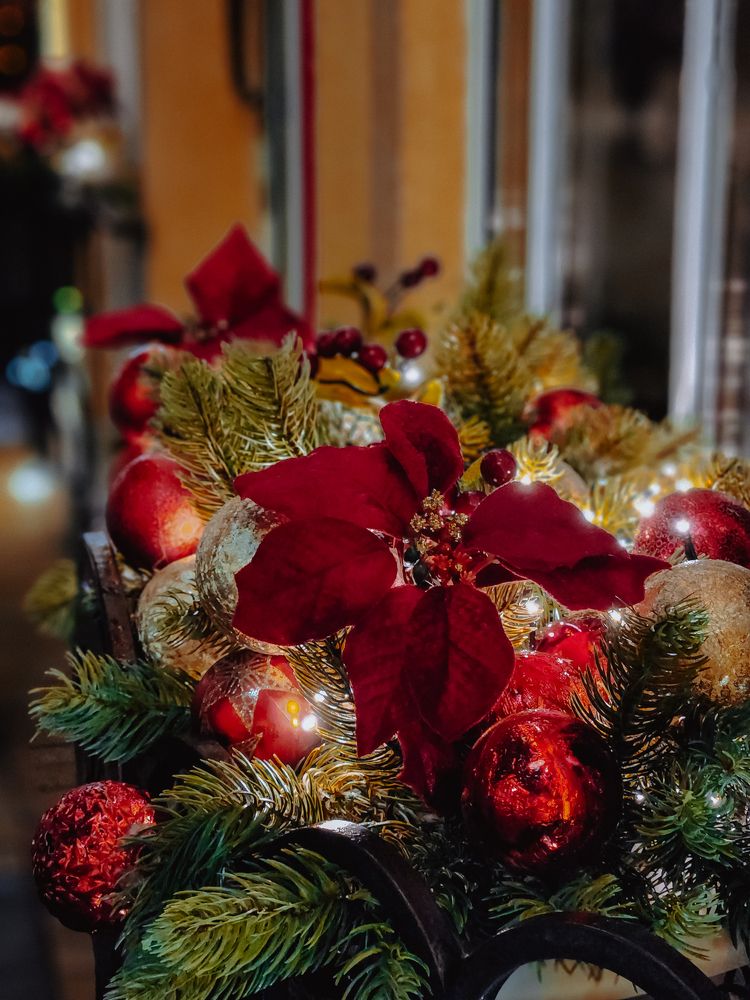 Photograph by Inna Iudina