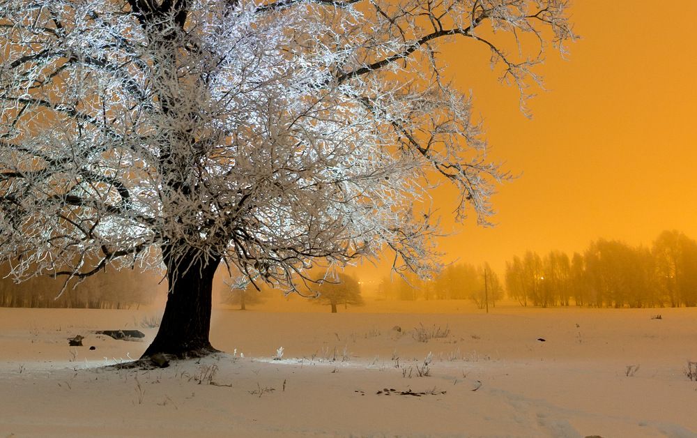 Photograph by Вячеслав