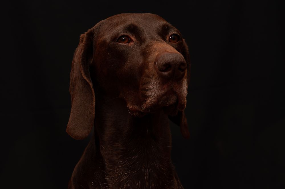 Фотография автора Елена Ефименко