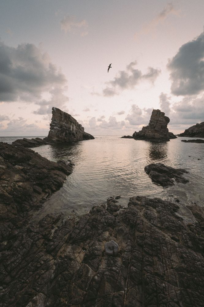 Photograph by Alexander Stoyanov