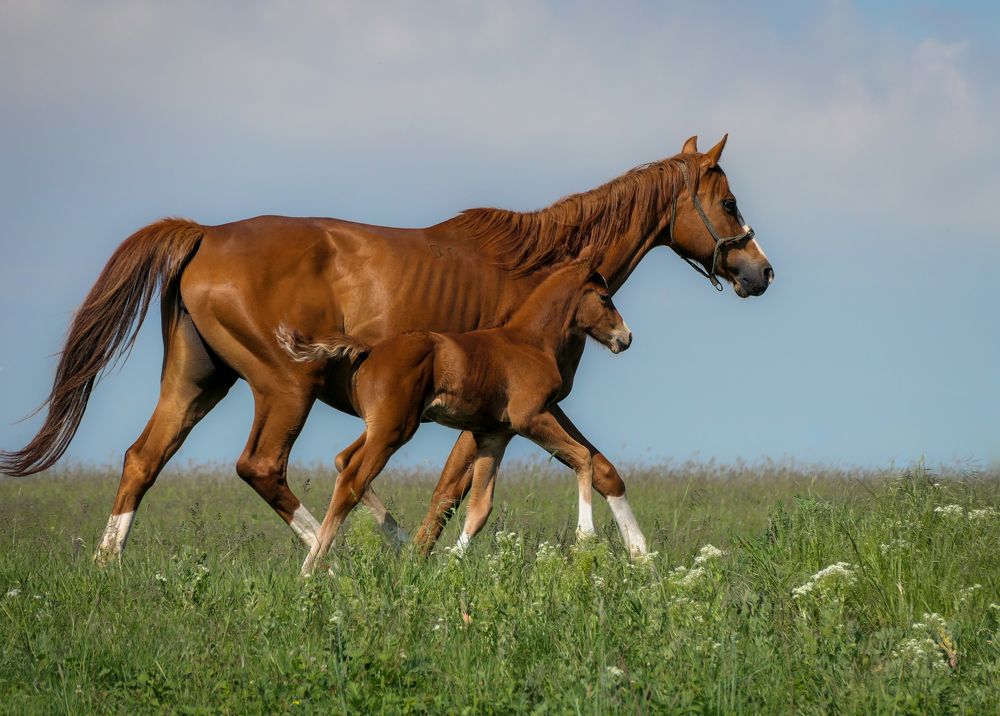 Photograph by Yulia Stepanova