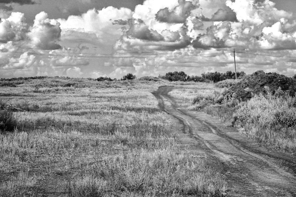 Photograph by Vitaliy Saposhnikov