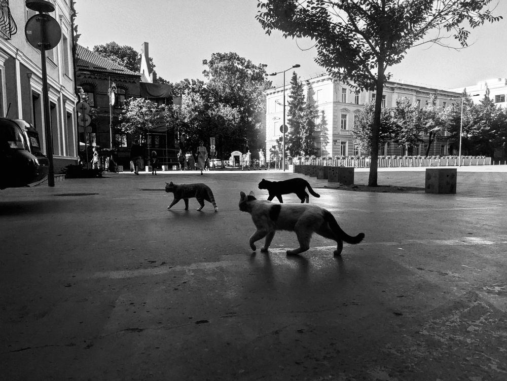 Photograph by Никита Львов