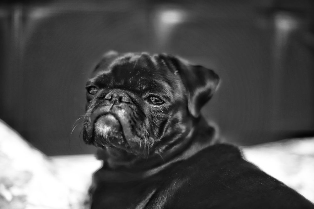 Photograph by Алексей Поляков