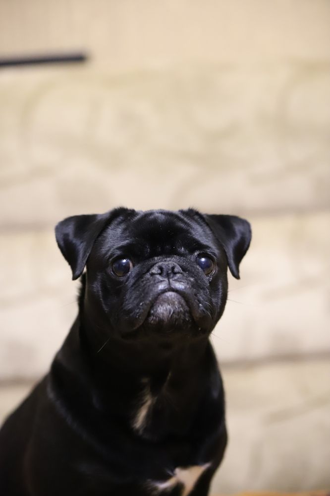 Photograph by Алексей Поляков