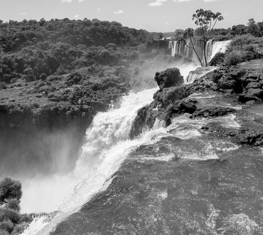 Фотография автора Liliana Cancino Abregu