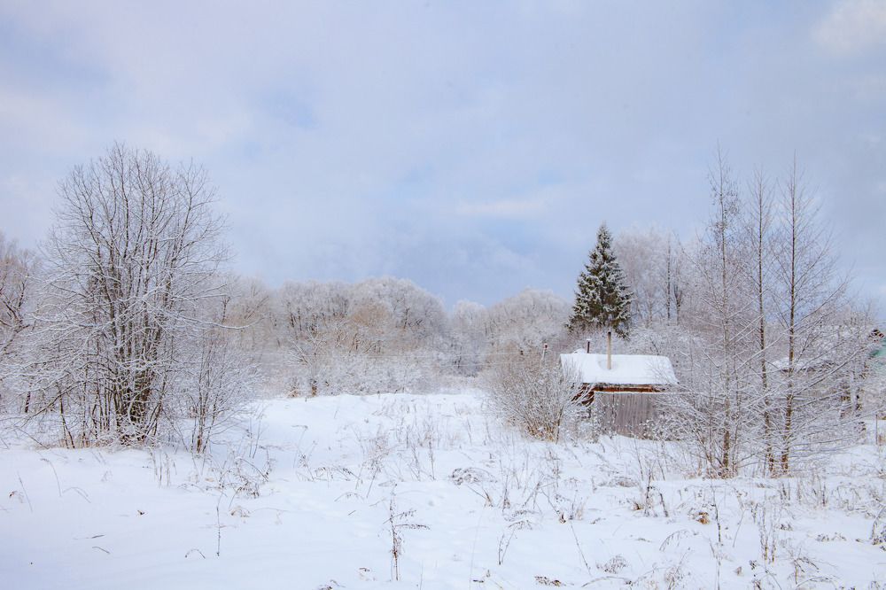 Photograph by Fedorov Denis